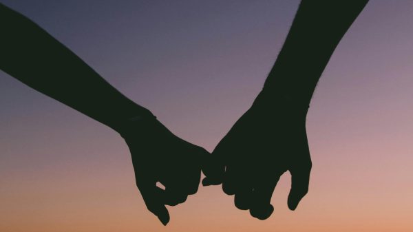 Tipe Cowok Idaman Wanita Zaman Sekarang