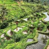 Wisata Bali