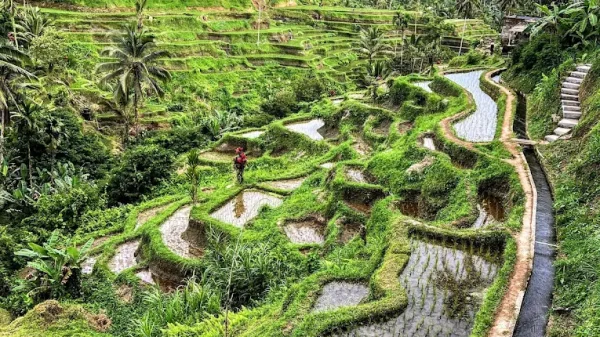 Wisata Bali